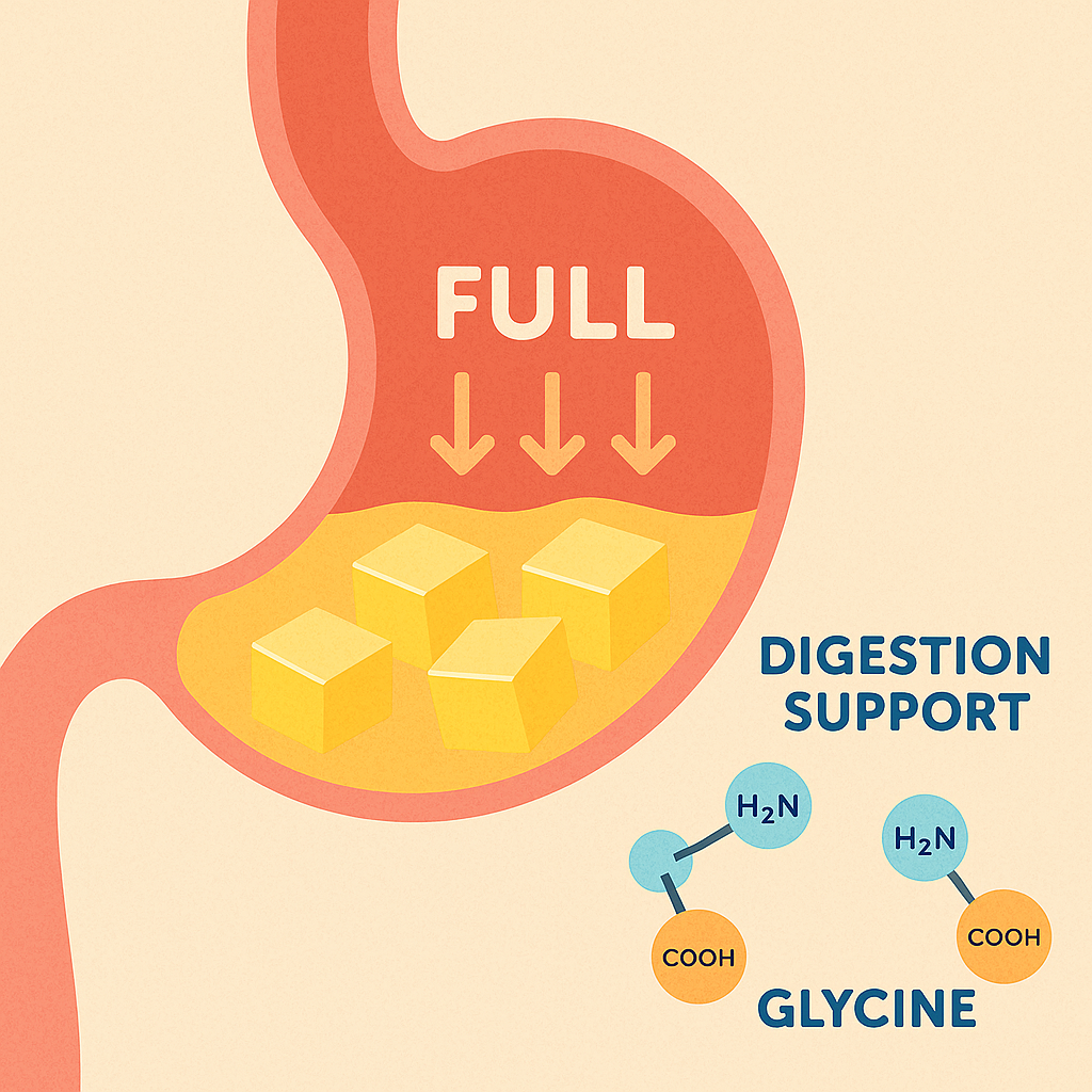 The Viral Gelatin Trick Recipe Everyone's Talking About in 2025 (And How to Do It Right!) 12 Digestive system benefits of the gelatin trick recipe